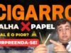CIGARRO-PALHA-X-PAPEL-900-×-450-px