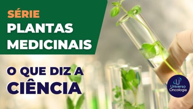 PLANTAS-1-1
