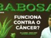 BABOSA-FUNCIONA-CONTRA-O-CANCER-900-×-450-px