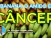 a banana, o amido e o câncer (900 × 450 px) (1)